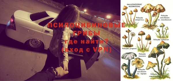 мяу мяу мука Арсеньев